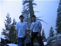 Foggy background
